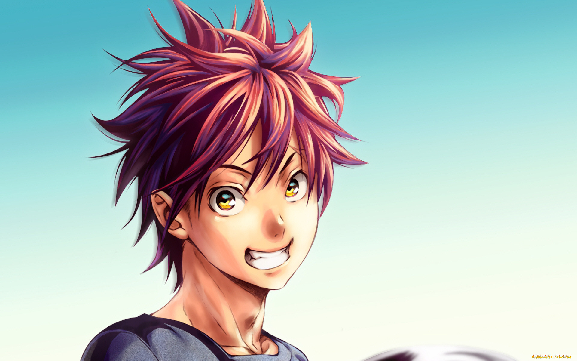 , shokugeki no soma, 